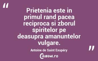 Prietenia este in primul rand pacea reciproca si zborul spiritelor pe deasupra amanuntelor vulgare. Antoine de Saint Exupéry...