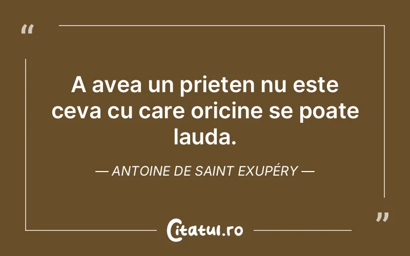 Citat Autor necunoscut - citate prietenie