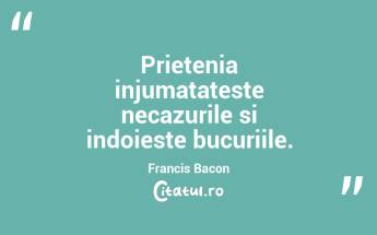 Prietenia injumatateste necazurile si indoieste bucuriile. Francis Bacon...