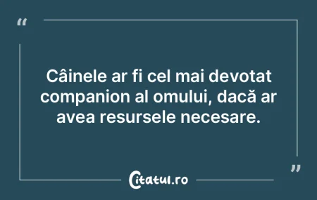 Câinele ar fi cel mai devotat companion...