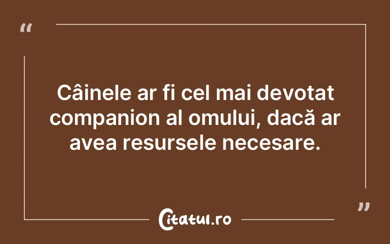 Citat Autor necunoscut - citate prietenie