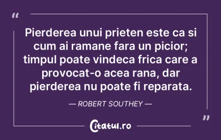 Pierderea unui prieten este ca si cum ai...