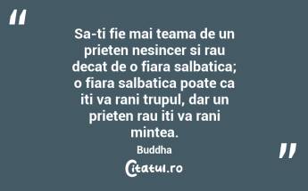 Sa-ti fie mai teama de un prieten nesincer si rau decat de o fiara salbatica; o fiara salbatica poate ca iti va rani trupul, dar un prieten rau iti va rani mintea. Buddha...
