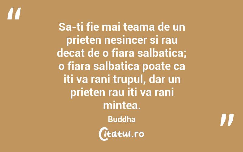 Sa-ti fie mai teama de un prieten nesincer si rau decat de o fiara salbatica; o fiara salbatica poate ca iti va rani trupul, dar un prieten rau iti va rani mintea. Buddha
