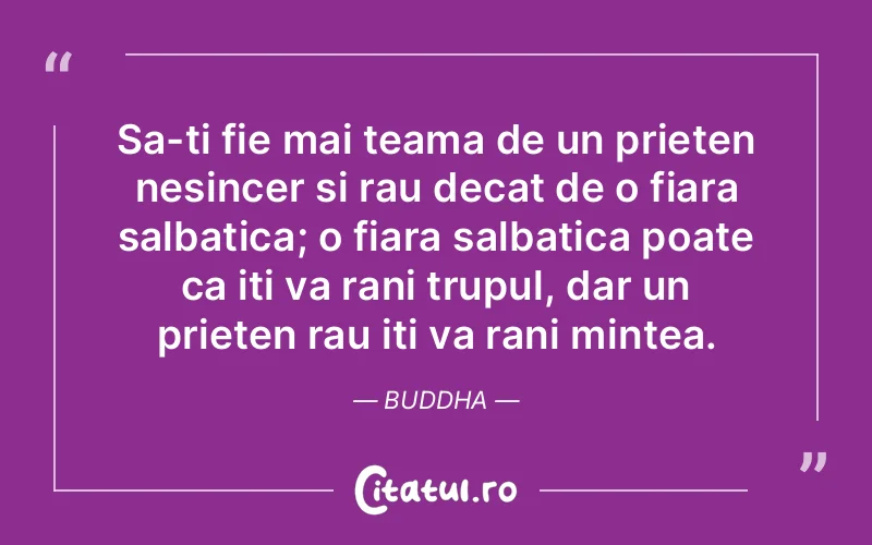Citat Buddha - citate prietenie