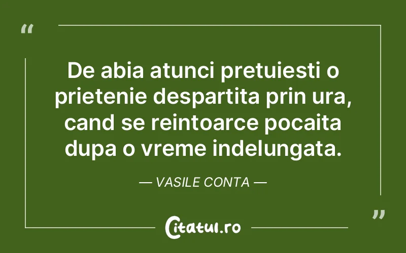 Citat Vasile Conta - citate prietenie
