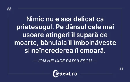 Nimic nu e așa delicat ca prieteșugul....