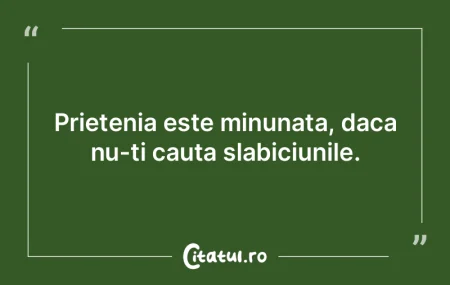 Prietenia este minunata, daca nu-ti caut... Prietenia este minunata, daca nu-ti caut...