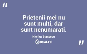 Prietenii mei nu sunt multi, dar sunt nenumarati. Nichita Stanescu...