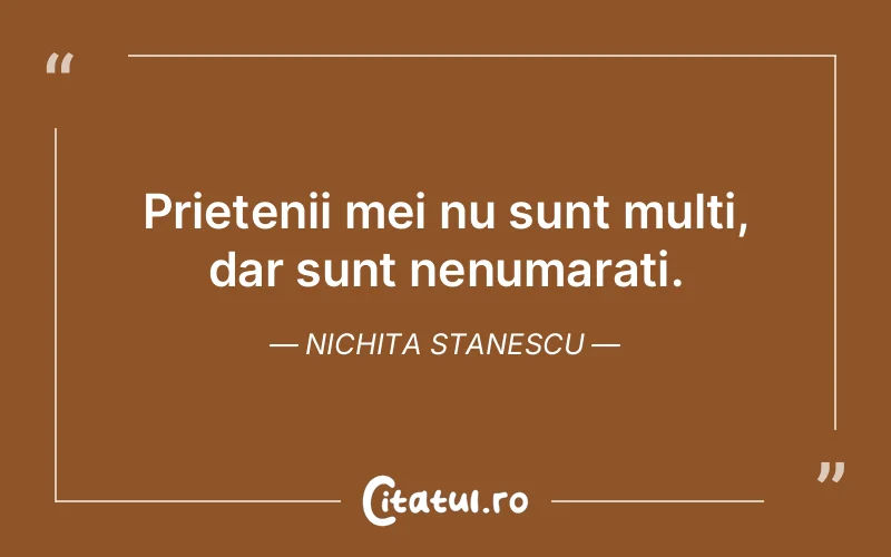 Citat Nichita Stanescu - citate prietenie