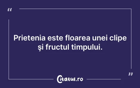 Prietenia este floarea unei clipe ÅŸi f... Prietenia este floarea unei clipe ÅŸi f...