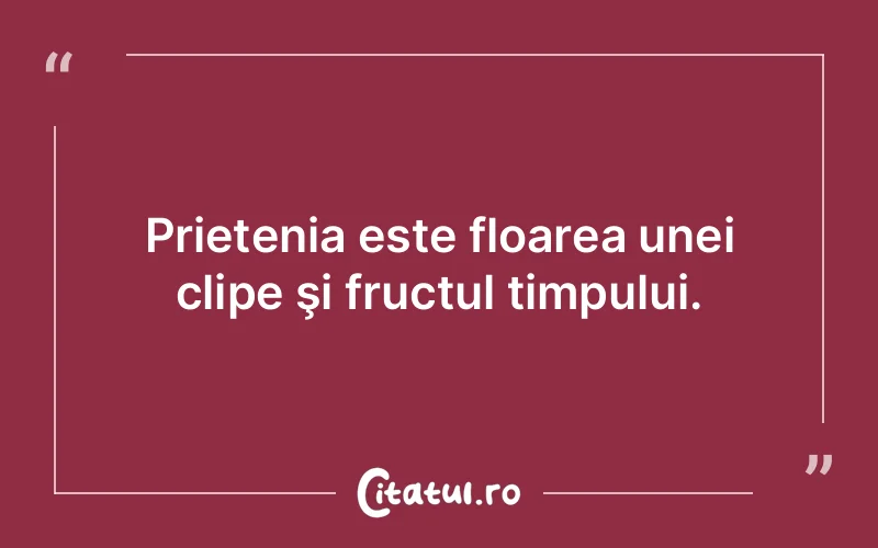 Citat Autor necunoscut - citate prietenie