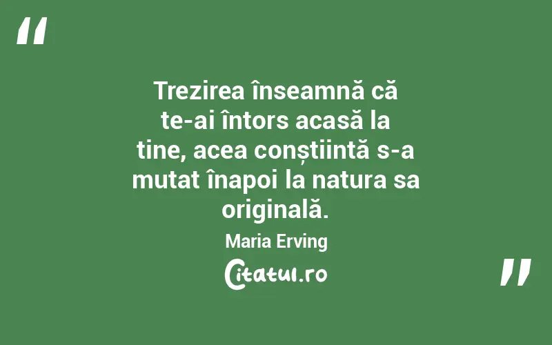 Trezirea înseamnă că te-ai întors acasă la tine, acea conștiință s-a mutat înapoi la natura sa originală. Maria Erving
