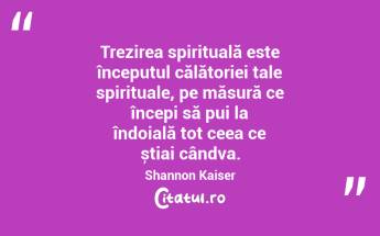 Trezirea spirituală este începutul călătoriei tale spirituale, pe măsură ce începi să pui la îndoială tot ceea ce știai cândva. Shannon Kaiser...