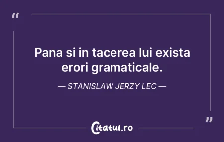Pana si in tacerea lui exista erori gram... Pana si in tacerea lui exista erori gram...