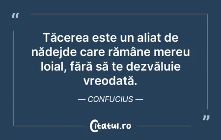Tăcerea este un aliat de nădejde care ... Tăcerea este un aliat de nădejde care ...