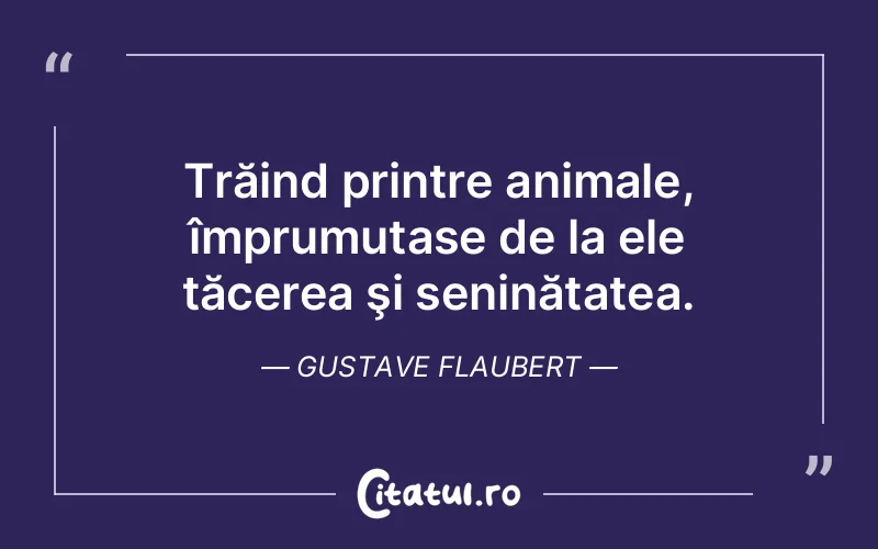 Citat Gustave Flaubert - citate spiritualitate