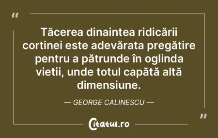 Tăcerea dinaintea ridicării cortinei e... Tăcerea dinaintea ridicării cortinei e...
