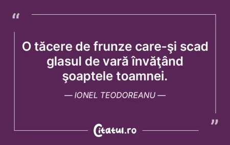 O tăcere de frunze care-şi scad glasul... O tăcere de frunze care-şi scad glasul...