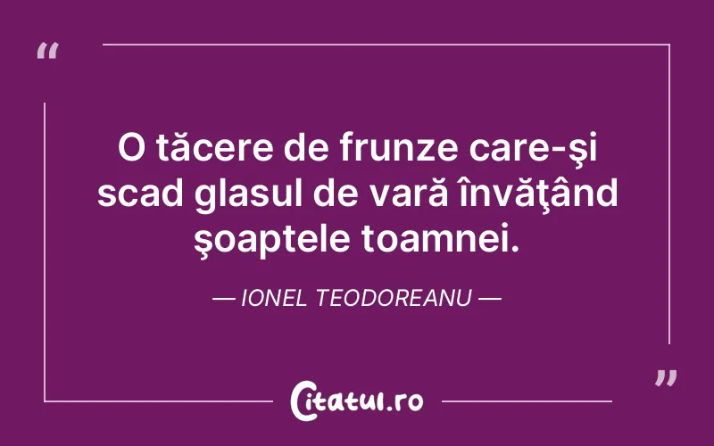 Citat Ionel Teodoreanu - citate spiritualitate
