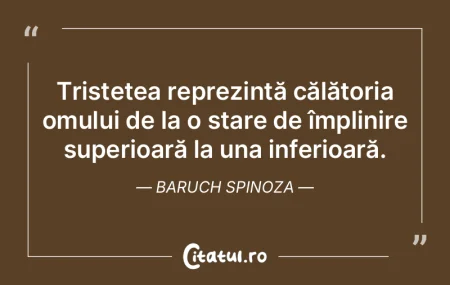 Tristețea reprezintă călătoria omulu... Tristețea reprezintă călătoria omulu...