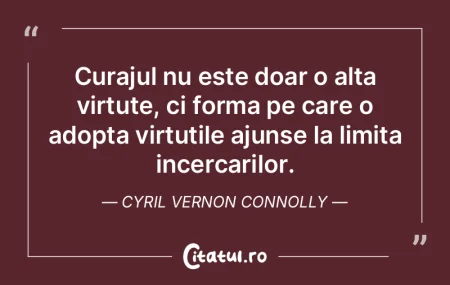 Curajul nu este doar o alta virtute, ci ... Curajul nu este doar o alta virtute, ci ...