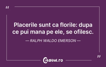 Placerile sunt ca florile: dupa ce pui m... Placerile sunt ca florile: dupa ce pui m...