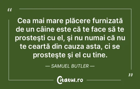 Cea mai mare plăcere furnizată de un c... Cea mai mare plăcere furnizată de un c...