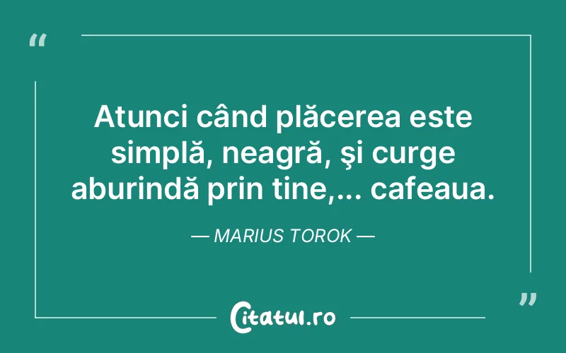 Citat Marius Torok - citate spiritualitate