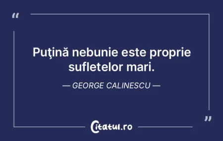 Puţină nebunie este proprie sufletelor...