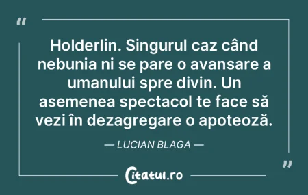 Holderlin. Singurul caz când nebunia ni... Holderlin. Singurul caz când nebunia ni...