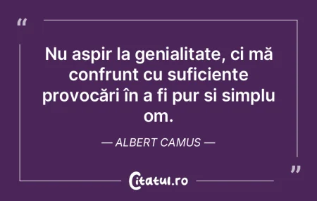 Nu aspir la genialitate, ci mă confrunt... Nu aspir la genialitate, ci mă confrunt...