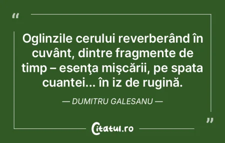 Oglinzile cerului reverberând în cuvâ... Oglinzile cerului reverberând în cuvâ...