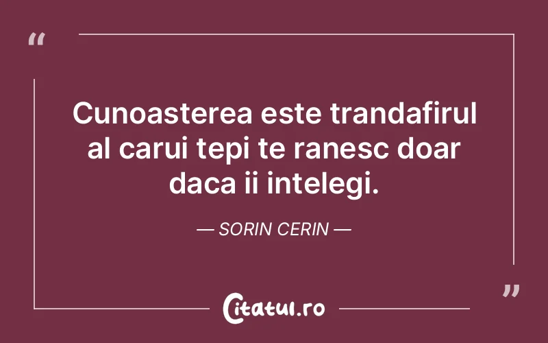 Citat Sorin Cerin - citate spiritualitate