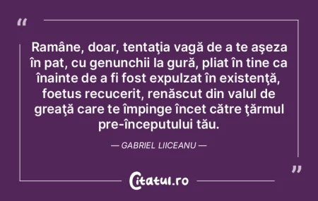 Ramâne, doar, tentaţia vagă de a te a... Ramâne, doar, tentaţia vagă de a te a...