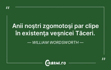 Anii noştri zgomotoşi par clipe în ex... Anii noştri zgomotoşi par clipe în ex...