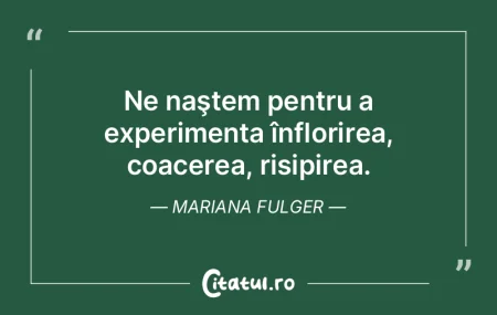 Ne naştem pentru a experimenta înflori... Ne naştem pentru a experimenta înflori...