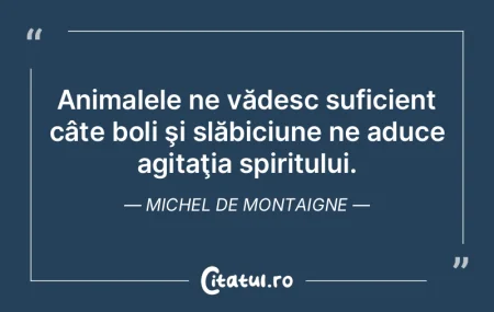 Animalele ne vădesc suficient câte bol...