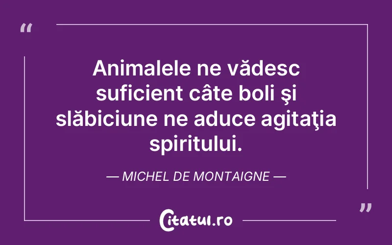 Citat Autor necunoscut - citate spiritualitate