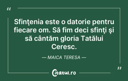 Sfinţenia este o datorie pentru fiecare... Sfinţenia este o datorie pentru fiecare...