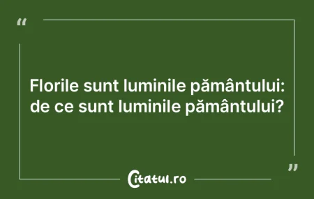 Florile sunt luminile pământului: de c... Florile sunt luminile pământului: de c...