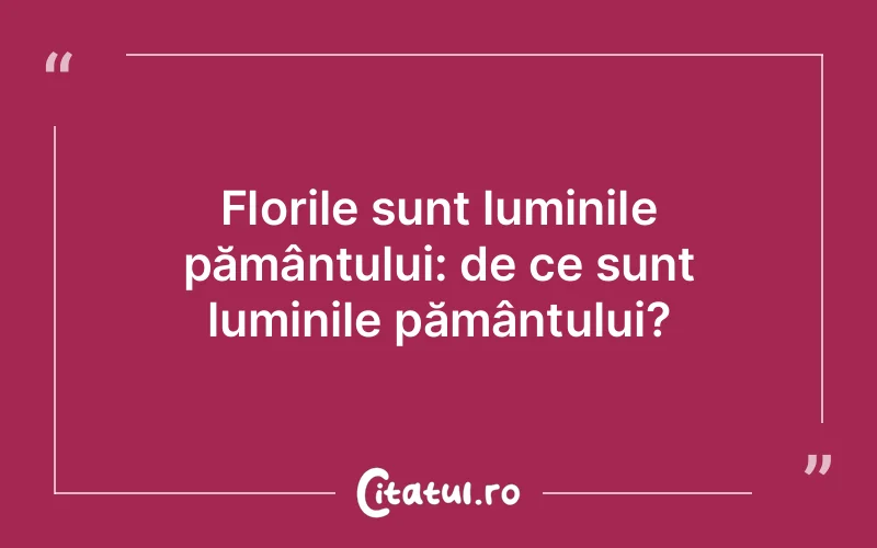 Citat Autor necunoscut - citate spiritualitate