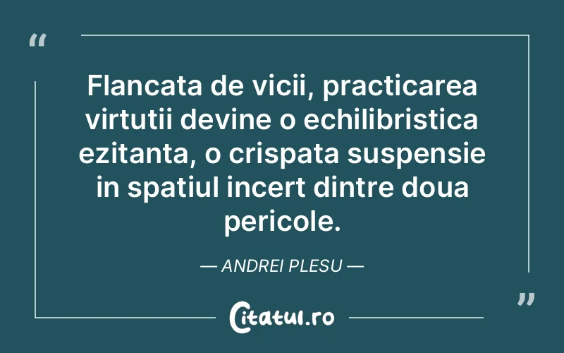 Citat Andrei Plesu - citate spiritualitate