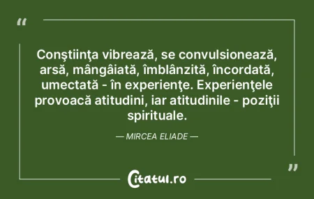 Conştiinţa vibrează, se convulsioneaz...
