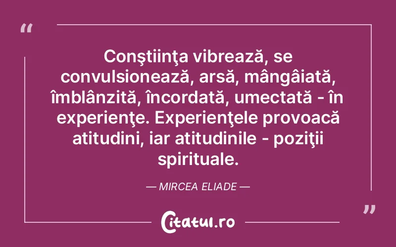 Citat Mirc - citate spiritualitate