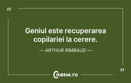 Geniul este recuperarea copilariei la ce...