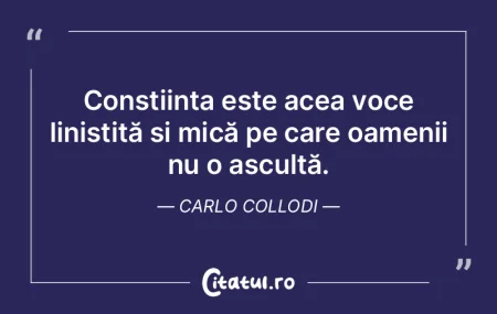 Conștiința este acea voce liniștită ...