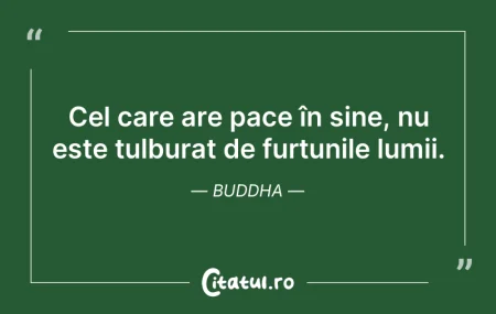 Citeste si: Cel care are pace în sine, nu este tulbu...