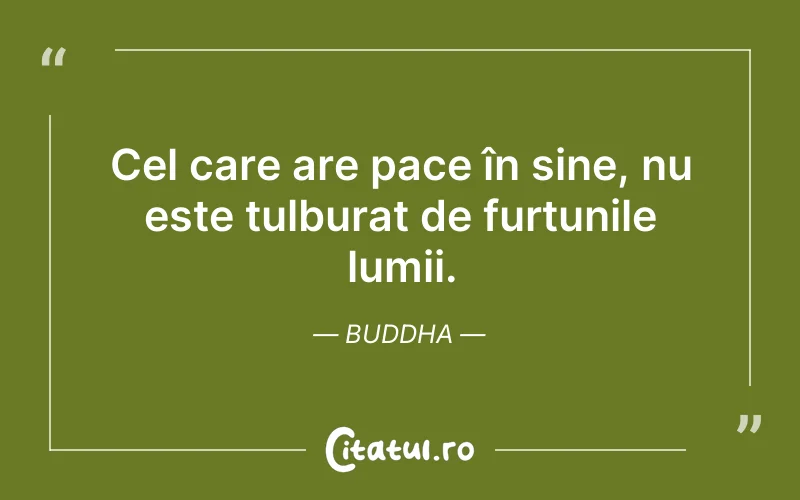 Cel care are pace în sine, nu este tulburat de furtunile lumii. Buddha
