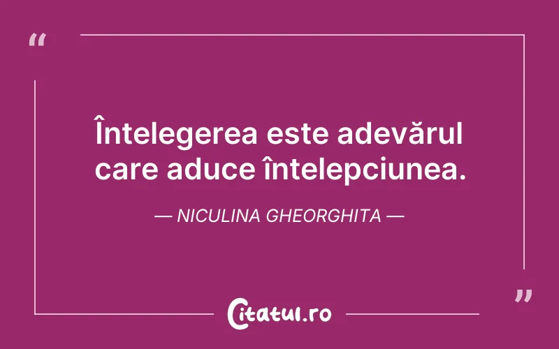 Înțelegerea este adevărul care aduce întelepciunea. Niculina Gheorghita